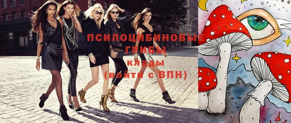 ПСИЛОЦИБИНОВЫЕ ГРИБЫ Беломорск