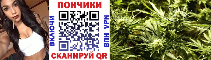 Бошки Шишки тримм хочу Губкинский